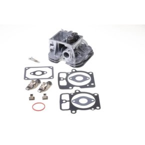 Briggs & Stratton Chiuloasă 84001919