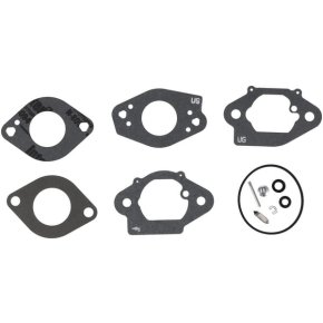 Briggs & Stratton Set reparație carburator 84004975 19L