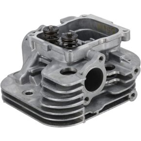 Briggs & Stratton Cap cilindru 84010829