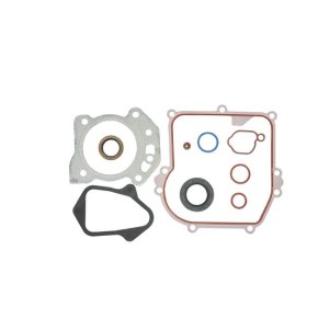 Briggs & Stratton Set garnituri motor 84006587