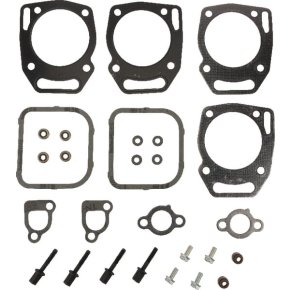 Briggs & Stratton Set garnituri supape 841191