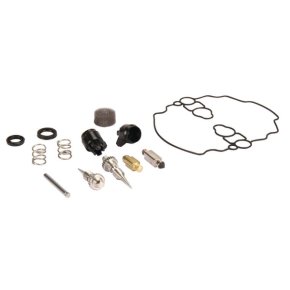 Briggs & Stratton Kit reparatie carburator 842873