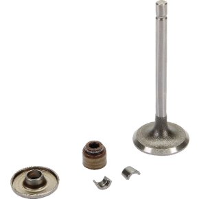 Briggs & Stratton Supapă de admisie 843751