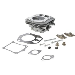 Briggs & Stratton Chiulasă 84010935