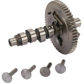 Briggs & Stratton Ax cu came 845649