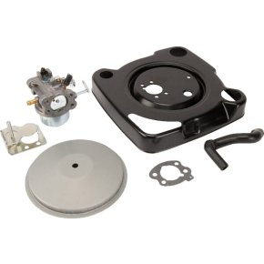 Briggs & Stratton Carburator 847393