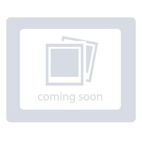 Briggs & Stratton Pompă 318207GS Briggs & Stratton