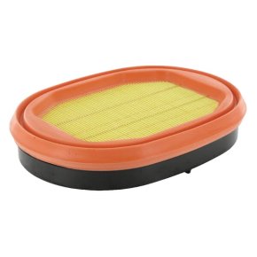 MANN-FILTER Filtru aer CF 2550 249x183x48mm