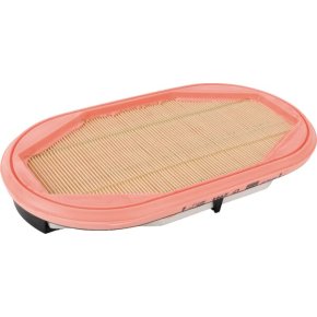 MANN-FILTER Filtru de aer Cilindru oval 296x168x38mm