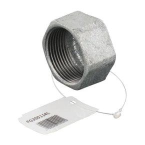 Kramp Capac Hexagonal FG300114L Filet Mamă 1-1/4 in