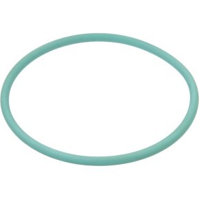 Arag O-ring G11038V 9.19x2.62mm 70 shore Viton verde