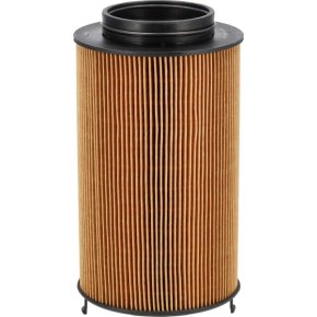 MANN-FILTER Filtru de ulei Cilindric HU120161Z 222 mm