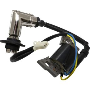 Briggs & Stratton Bobină aprindere 317436GS