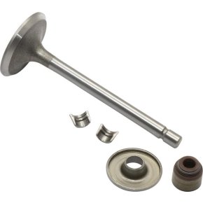 Briggs & Stratton Supapă de admisie 845712