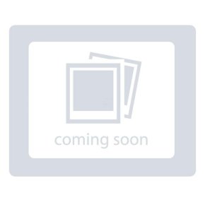 Rolă întinzătoare CR1202555 25 mm alezaj 120 mm D. exterior