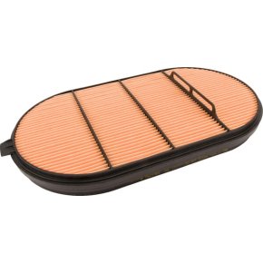 Donaldson Filtru de aer P621984 Cilindru oval