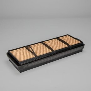 Donaldson Protecție filtru de aer P958671