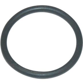 Arag O-ring G11023 41