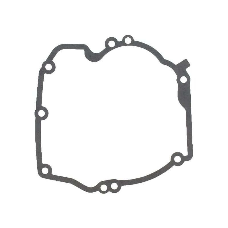 Briggs & Stratton Garnitură carter 272324