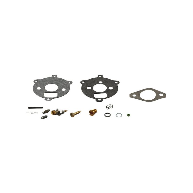 Briggs & Stratton Kit de reparare carburator 394693