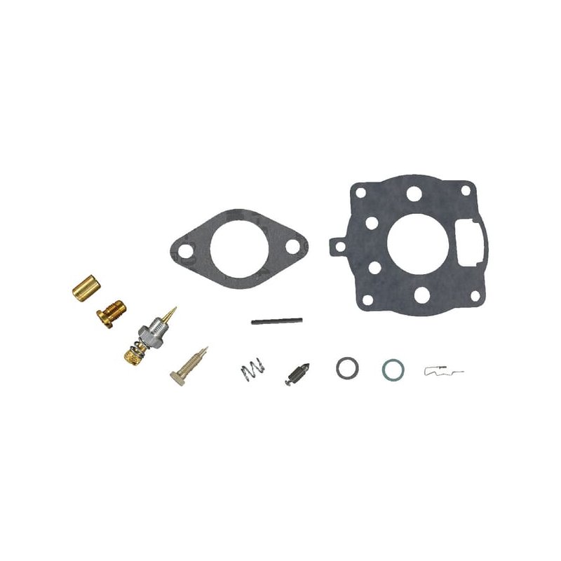 Briggs & Stratton Kit de reparare carburator 492024