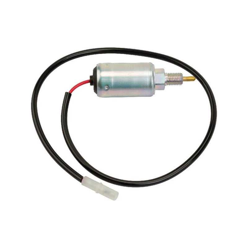 Briggs & Stratton Solenoid fuel 494312