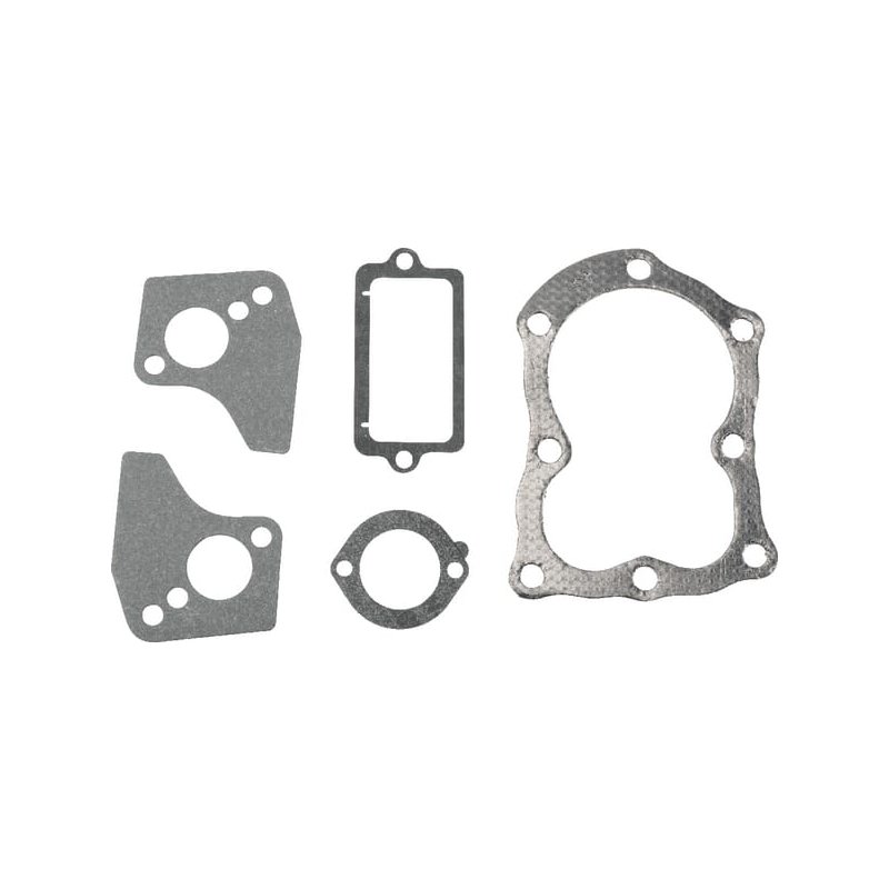Briggs & Stratton Set garnituri 498529