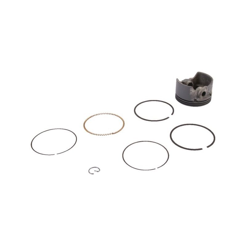 Briggs & Stratton Piston complet 590521 Standard