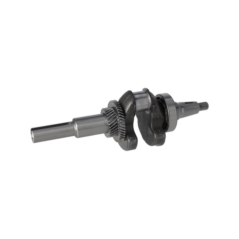 Briggs & Stratton Arbore cotit 590961