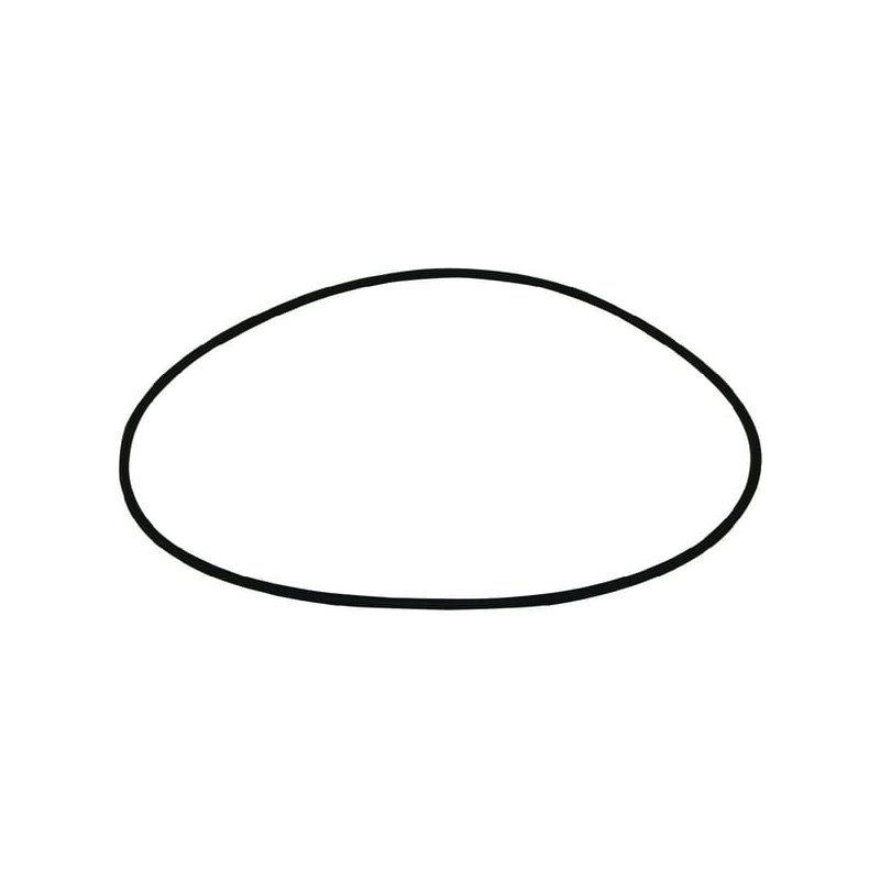 O-ring 6000008 177