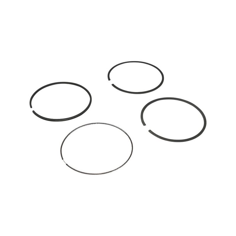 Briggs & Stratton Set segmenți 694004 standard