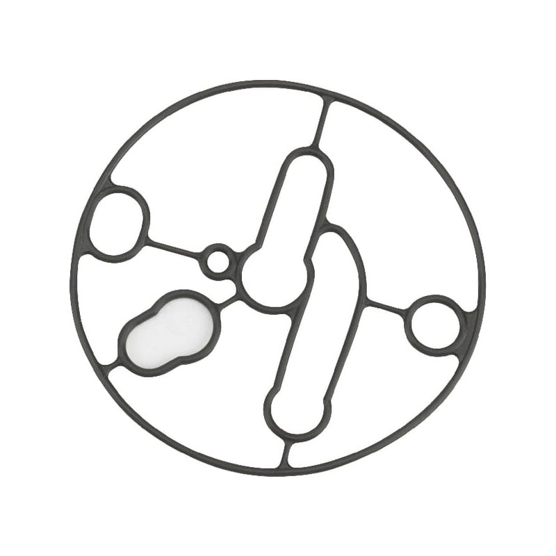 Briggs & Stratton Garnitură vas flotor 695426