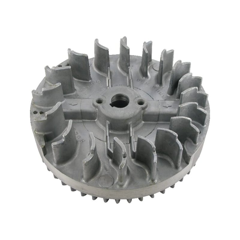 Briggs & Stratton Volant 697610