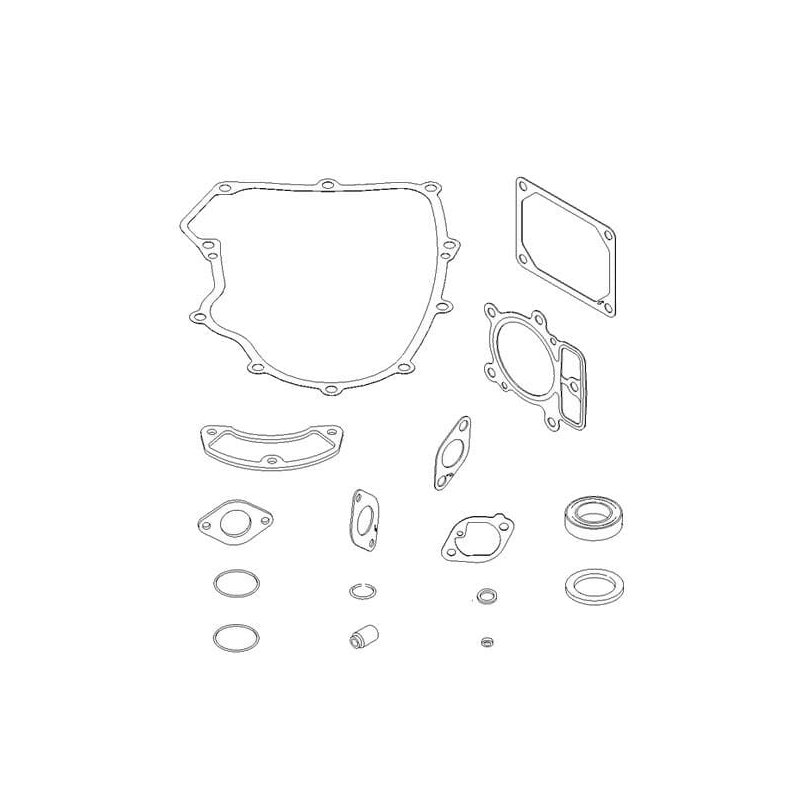 Briggs & Stratton Set garnituri 699823 model 40 en 44 V