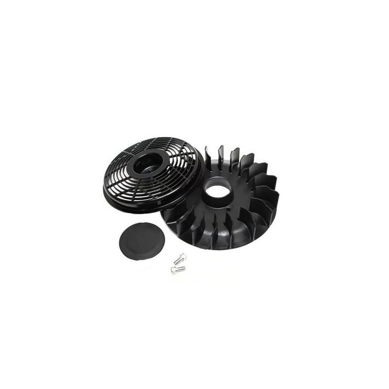 Briggs & Stratton Ventilator răcire volantă 796200