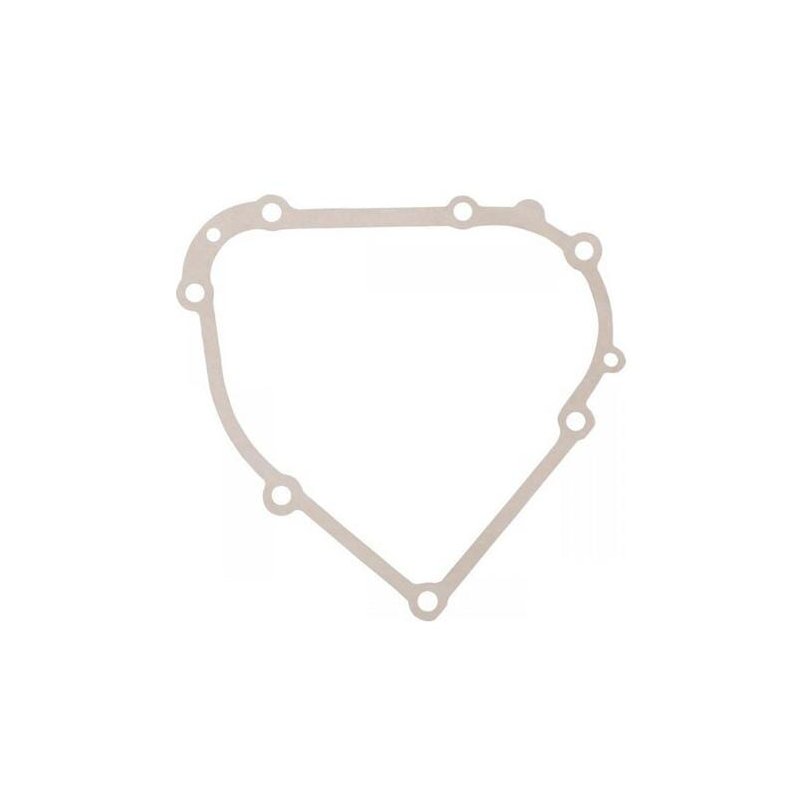 Briggs & Stratton Garnitură carter 798807