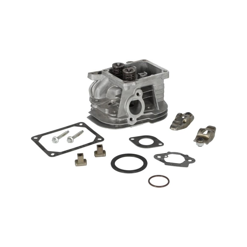 Briggs & Stratton Chiuloasă 799858