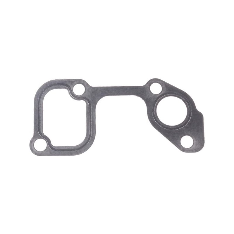 Briggs & Stratton Garnitură 820100