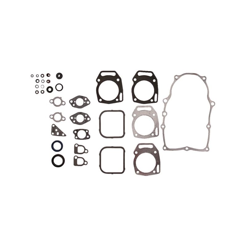 Briggs & Stratton Set garnituri 84010902