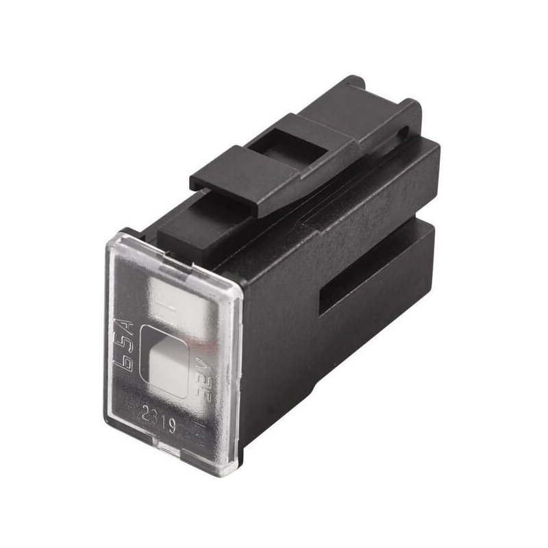 Hella Siguranță PAL 8JS740026711 65A Negru