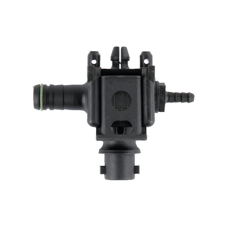 Piesă de capăt 923833 Amazone