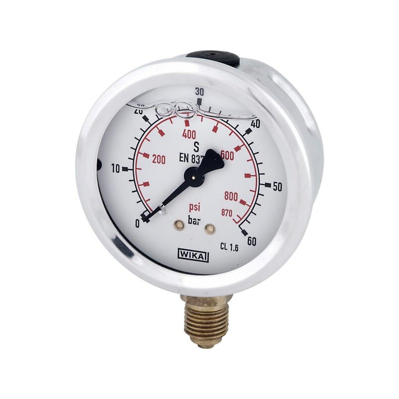 Manometru B711W100060D 0-60 bar 100 mm WIKA