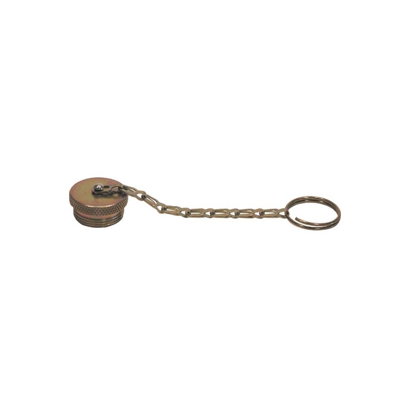 Capac de praf TMP14 1/4 BSP Faster
