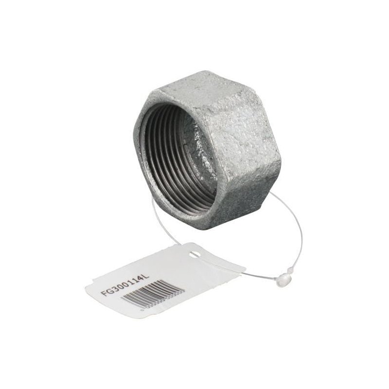 Kramp Capac Hexagonal FG300114L Filet Mamă 1-1/4 in