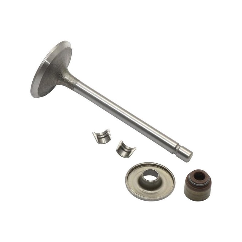 Briggs & Stratton Supapă de admisie 845712